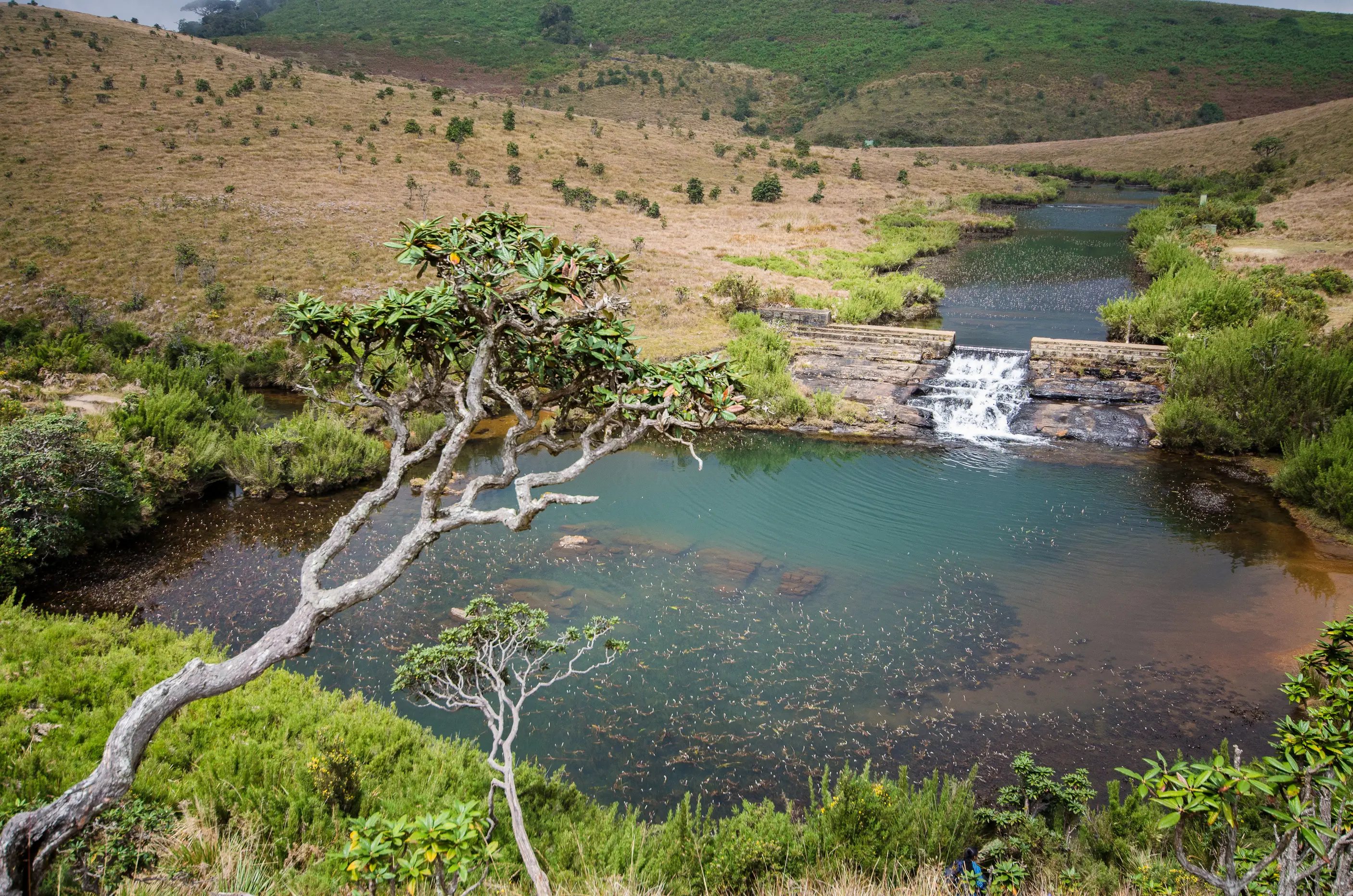 Best of Sri Lanka - 04 Days 03 Nights